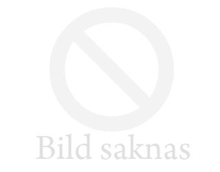 Bakkantssäkring 