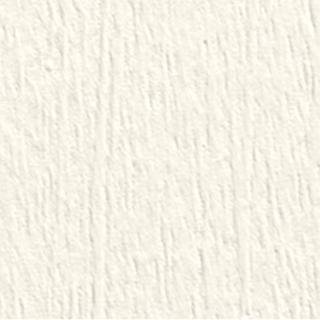 Täcklasyr standard vit ncs s 0502-Y